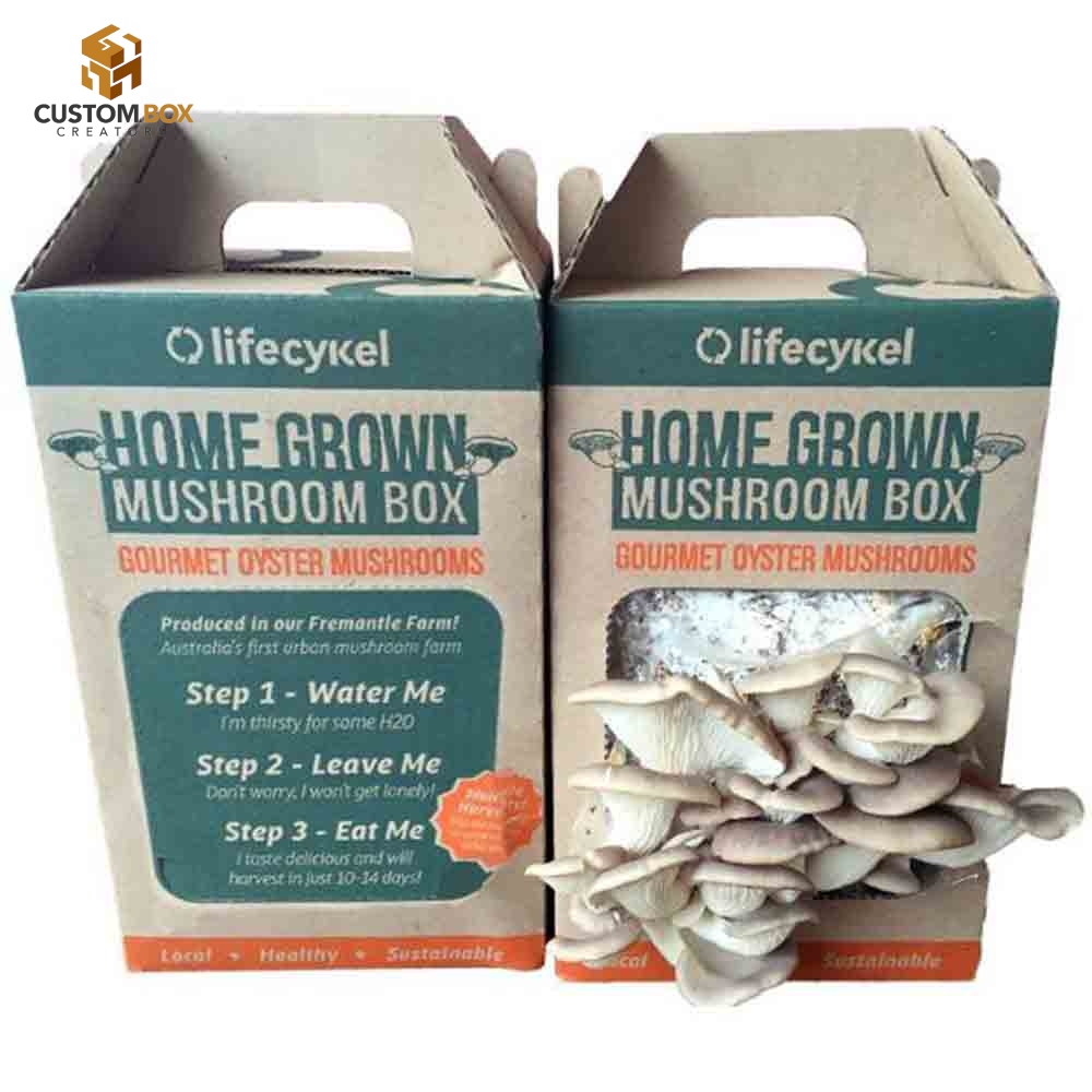 Custom Mushroom Boxes